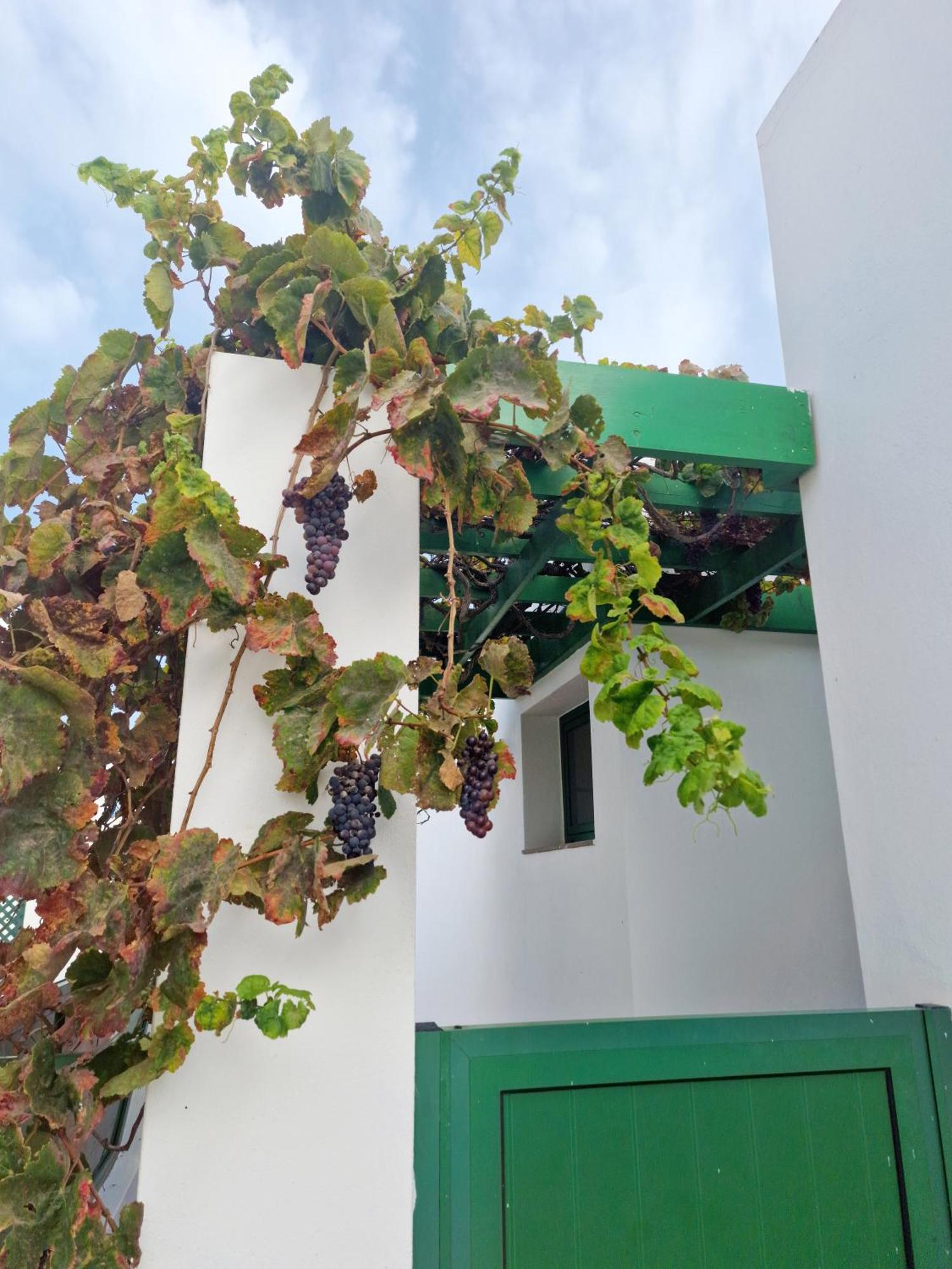 Casa Maracuya Villa Costa Teguise Exterior photo
